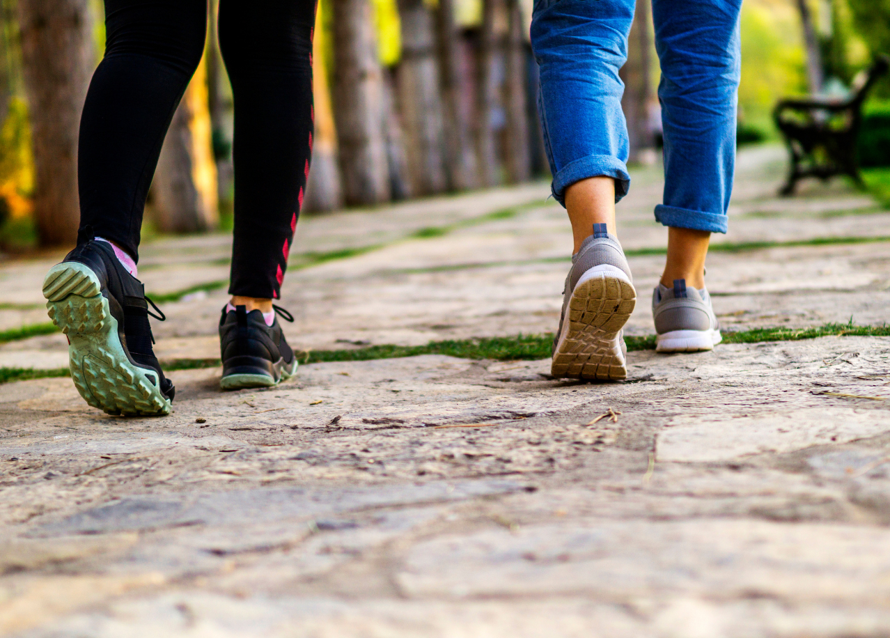 Imatge de la notícia: “Camina cap a la salut” reprèn les caminades de tardor